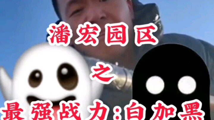 潘宏园区之 最强战力：白加黑