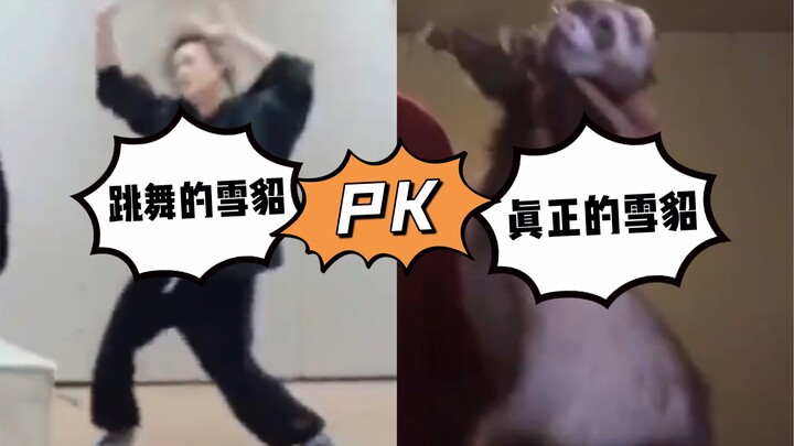 [Postingan Terpopuler di Korea] Zhong Chenle NCT dijuluki "Musang Menari" VS musang menari sungguhan