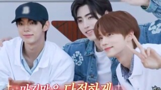 朴成训 x 申惟 x 金道勋《XO》Enhypen新歌先公开cha！