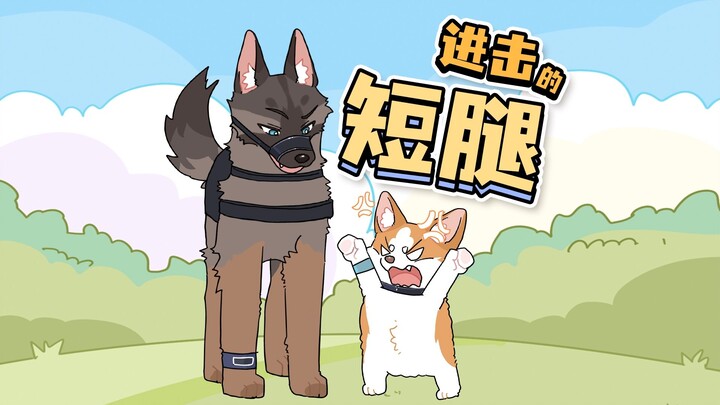 Fuzai: If you tell me my legs are short again, I will jump up and hit your knees!