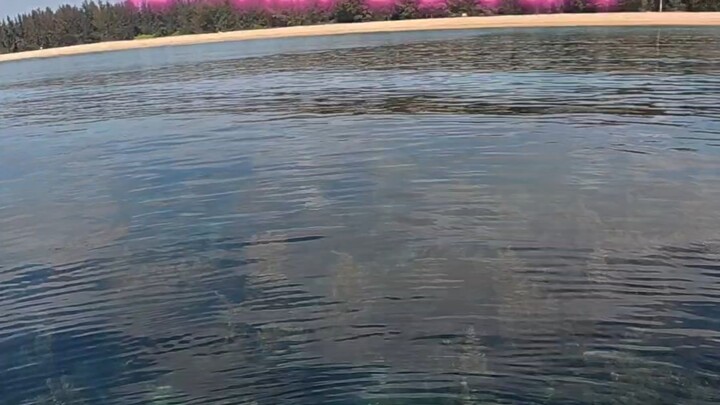 开透视钓鱼，再带大家看看祖国的海呀