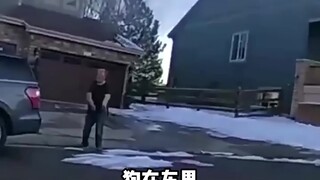 狗子命悬一线 险