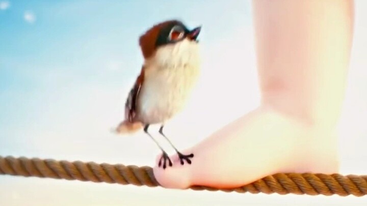 A girl spends her whole life walking a tightrope—only on the day she dies does she finally leap off.