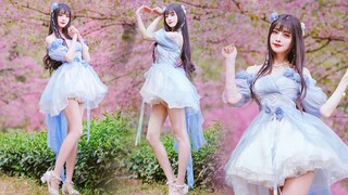 I confess my love to you with cherry blossoms all over the sky~! You really don’t want to date me~? 