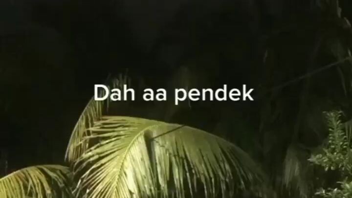 tau ii jela sapa😣