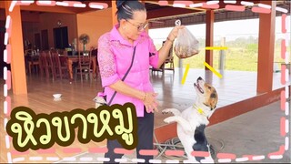 โลกของแสนดี ตอน ยายสมมีขาหมูมาให้