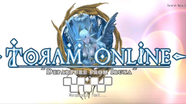 mengenal pengaturan atau setingan [Toram Online]