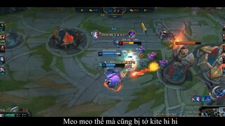 Meo meo meo