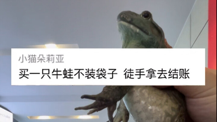 If you dare say it, I dare take the challenge!