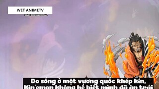 Top 8 Người Vô Tình _Ăn_ Trái Ác Quỷ trong One Piece #18 4