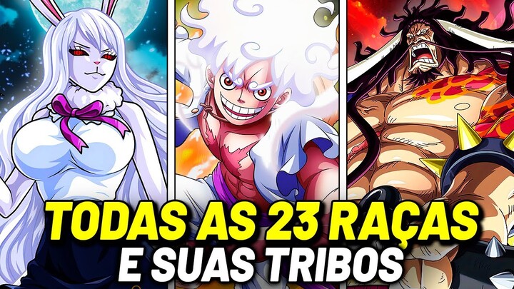 TODOS OS PODERES DE TODAS AS 23 RAÇAS E TRIBOS EM ONE PIECE!