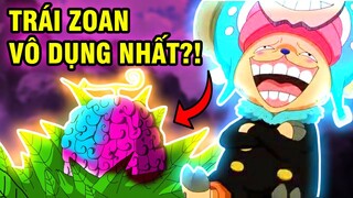 TRÁI ZOAN PHẾ NHẤT ONE PIECE?! | NHỮNG TRÁI ZOAN VÔ DỤNG ĐẾN BUỒN CƯỜI TRONG ONE PIECE