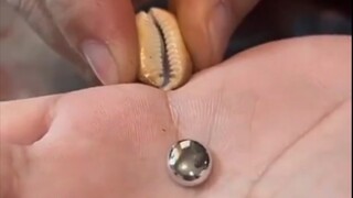 Bergabung dengan sempurna