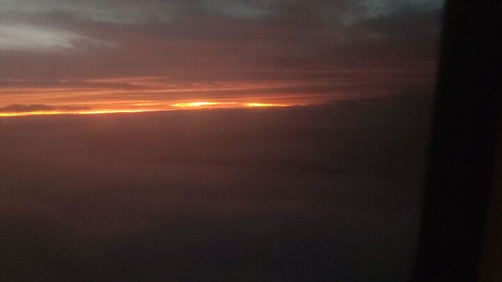 Morning flight