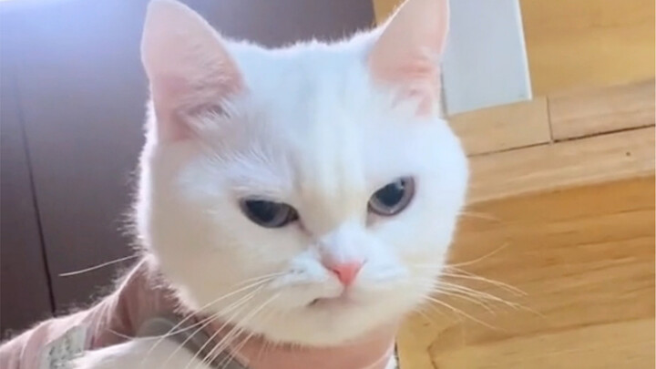 Growing up with you is such a rewarding journey.