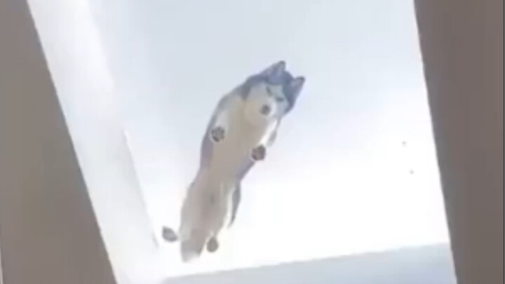 عندما تحدّق في الهاوية