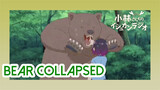Bear collapsed