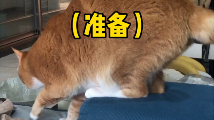 Bebul, maaf, aku cinta kamu.