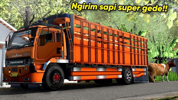 SAPINYA BISA JALAN !!?  Bawa Sapi Kurban Di Map Pedesaan Sempit - Bus Simulator Indonesia