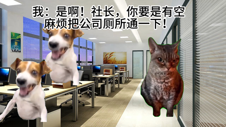 【มีมแมว】ความน่าเกรงขามของซีอีโอแบบชrödinger (ตอนต้น)