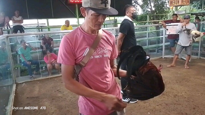 R.A.J Backyard para champion of my 1st.entry.Win