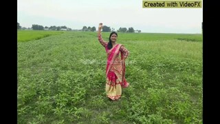Pasher barir kodom ali - Indian Song