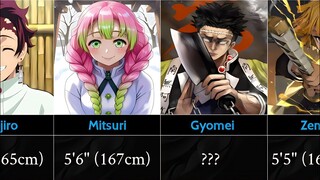 Demon Slayer characters ranked from shortest to Tallest.