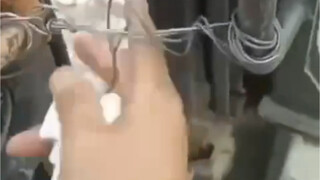 开始就不给自己退路