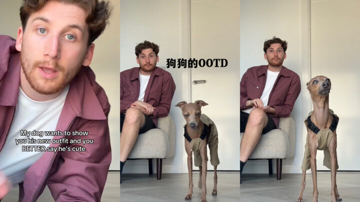 OOTD của cún cưng 😎