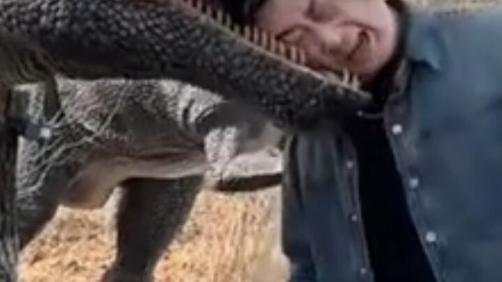 Người đầu tiên trong lịch sử loài người bị khủng long cắn