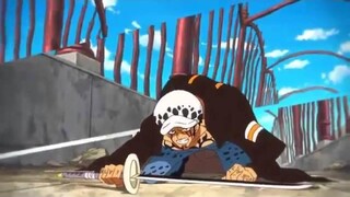 AMV ทรานฟาลก้า D วอเตอร์ลอว์ VS ดองกี้โฮเต้ โดฟลามิงโก้