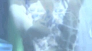 Bata pa sya guys