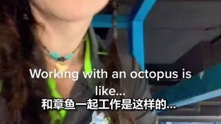 Seperti apa rasanya bekerja bersama gurita