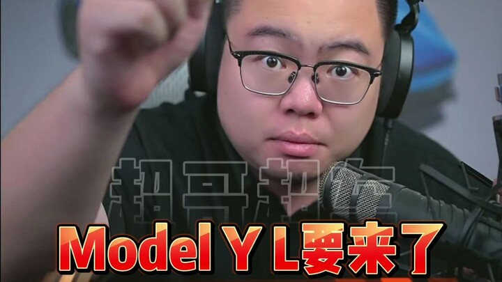 The Tesla Model Y Long Range is here! Should you wait for it, or go for a domestic Chinese EV?