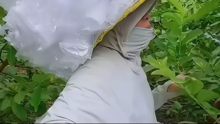 Khi Nông Dân Việt Nam Tấu Hài | Cười Ra Nước Mắt Với Những Khoảnh Khắc Độc Lạ Nông Nghiệp