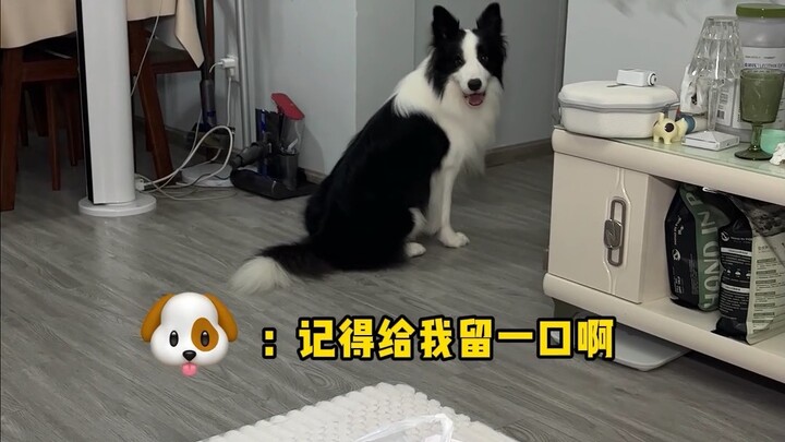 When I sneak a midnight snack and get caught by the dog...