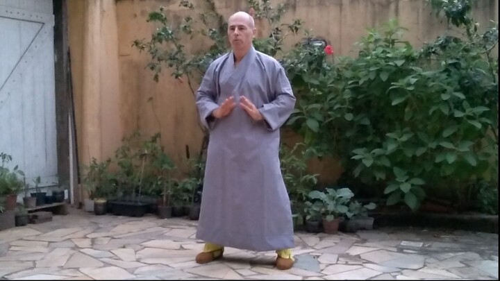 少林大洪拳 DA HONG QUAN
