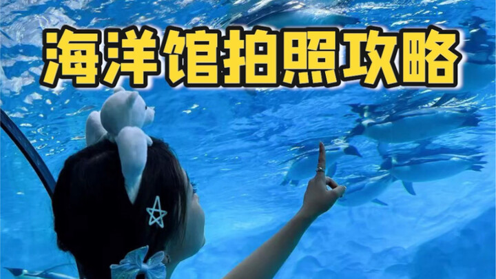 How to Take Stunning and Cute Photos with the Little Animals at the Aquarium!