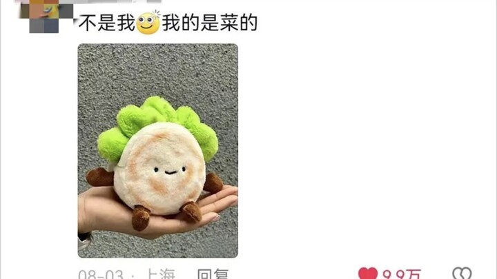 Gadis asal Shaanxi mencari secara daring daging yang hilang dalam roujiamo-nya, pemuda asal Shandong