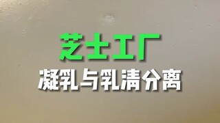 حوّل الحليب إلى جُبنة متخثرة ومصل الحليب! هذه الجُبنة المتخثرة الناعمة ستتحول إلى عجلات جُبنة!