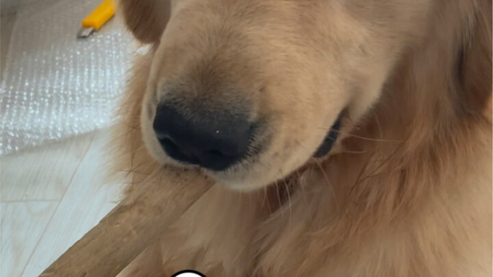 Ngày Chủ nhật của George