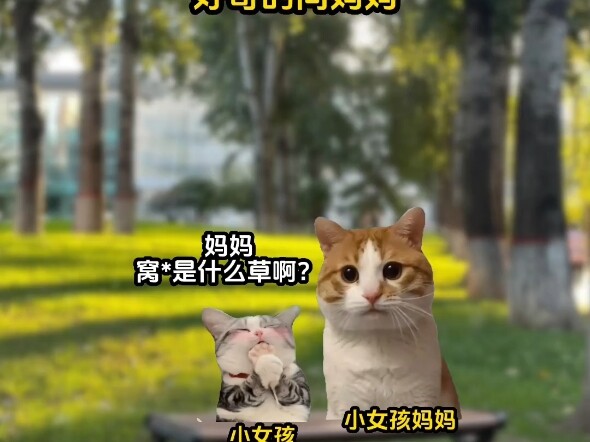 Shocking! I Can Actually Understand What Animals Are Saying!