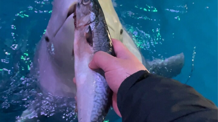 You’ve gotta have delicious food when you’re having a blast!