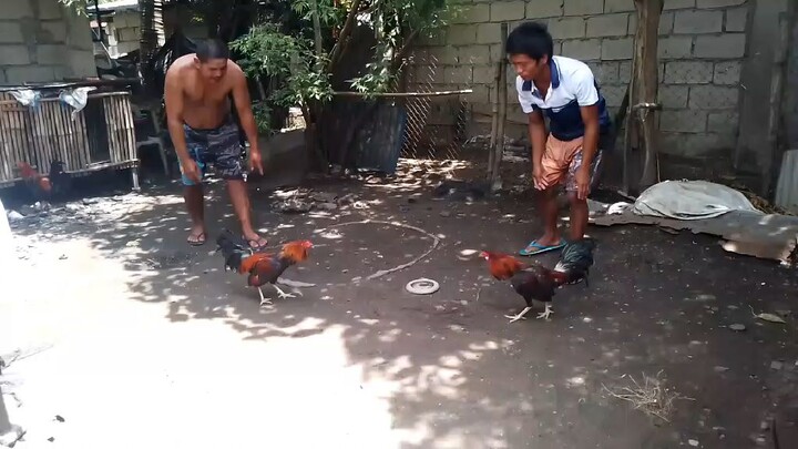 First Spar