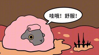 多利先生不赞成羊肉火锅