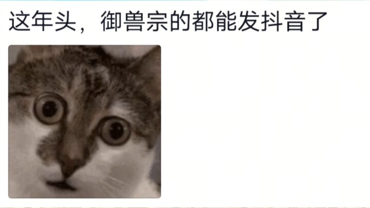 I finally understand why characters in novels get jealous of others’ spirit beasts.