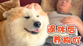 【悠酱&外公日常】退休后的老父亲，开启专职养狗“孙女”的幸福养老生活咯