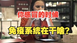 الجهاز المناعي يخوض معركة ضد الفيروسات