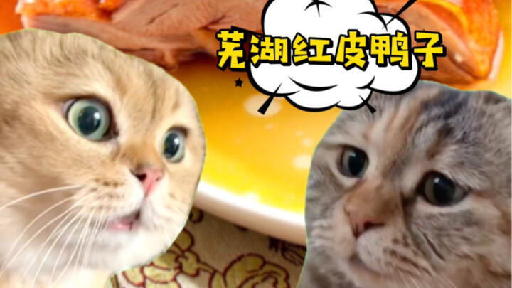 Batu sandungan di jalan menuju pernikahan