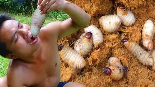 ẨM THỰC VIỆT NAM  | ĐẶC SẢN ĐUÔNG CỌ LỘI NƯỚC MẮM ĐÁNG SỢ CỦA NGƯỜI DÂN VÙNG CAO